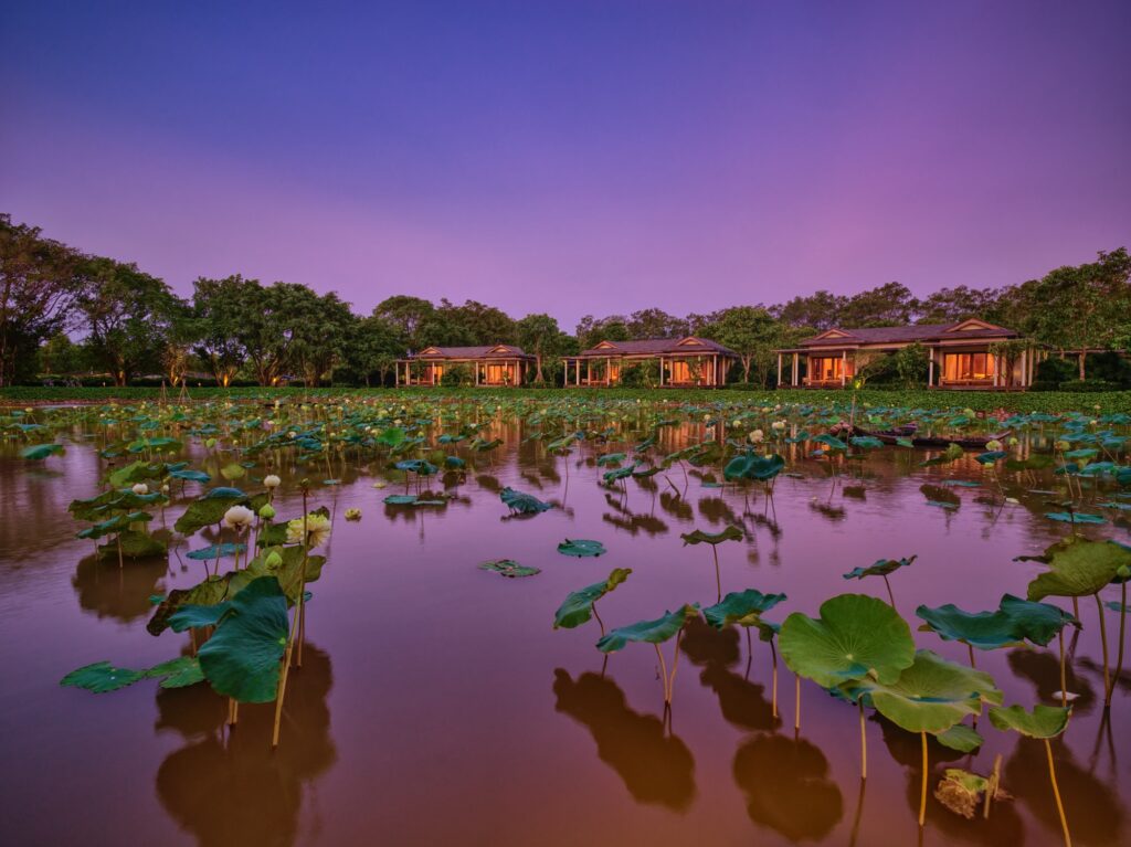 AZCT The Lake Rooms At Sunrise Over The Lotus Pond