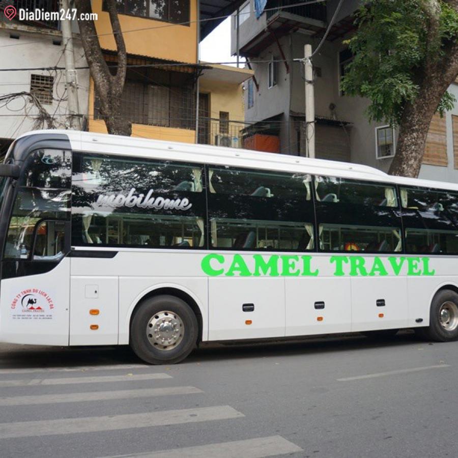 camel travel 2