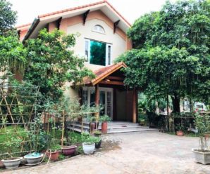 Review, giá thuê biệt thự Tranquil Villa, Thạch Thất, Hà Nội