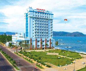 Review khách sạn Seagull Hotel Quy Nhơn 4 sao – giá phòng, dịch vụ, vị trí, kinh nghiệm du lịch Quy Nhơn